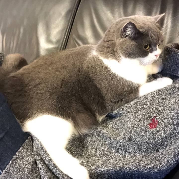 F86ccd07 ba1b 4762 a4a4 e5362be8589b 1581724703650