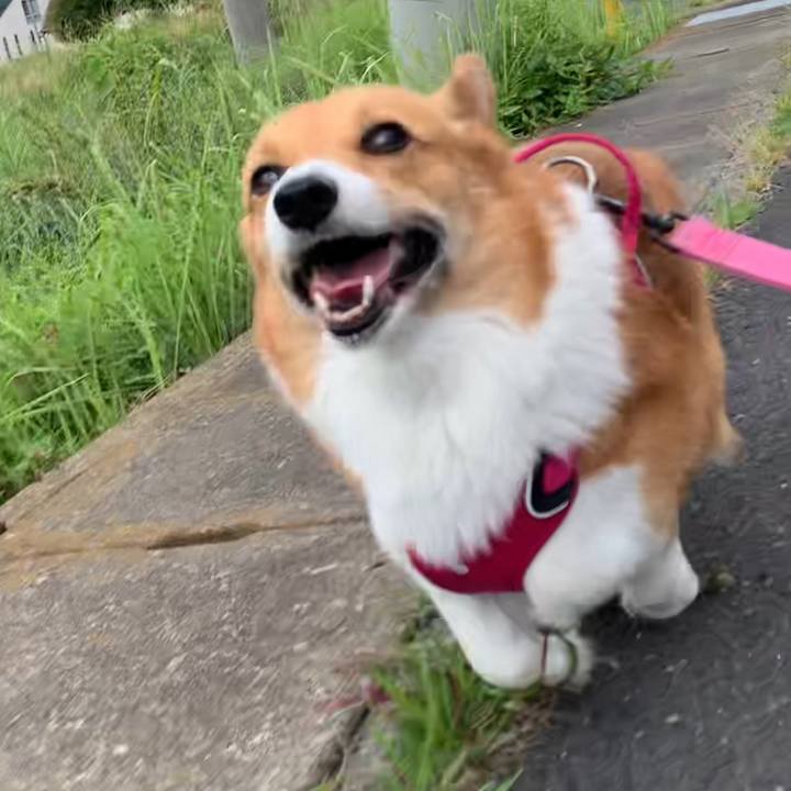 F86d2578 9e30 4bd7 a091 b33fc570a801 1653528809057