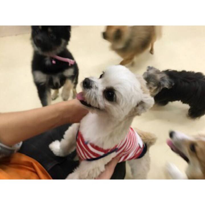 F86d2ad0 6415 4906 9f28 42018f041061 1552562302218