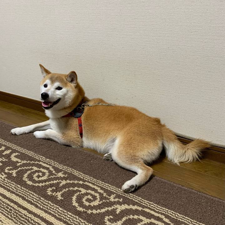 F86d611b 8071 465c 865b b0126ec03b46 1692009878663