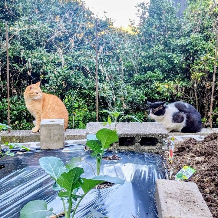 F86d70cf 76a5 45c5 a6b2 1c69fe6a68a4 1775657338545