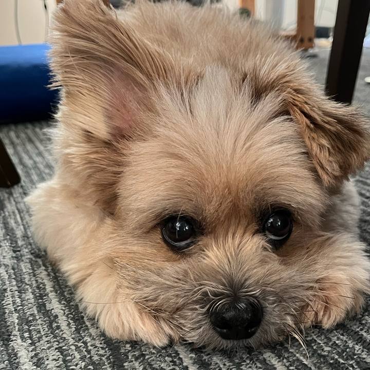 F86d8162 1b90 4d6f b219 03abe8293545 1728303619084