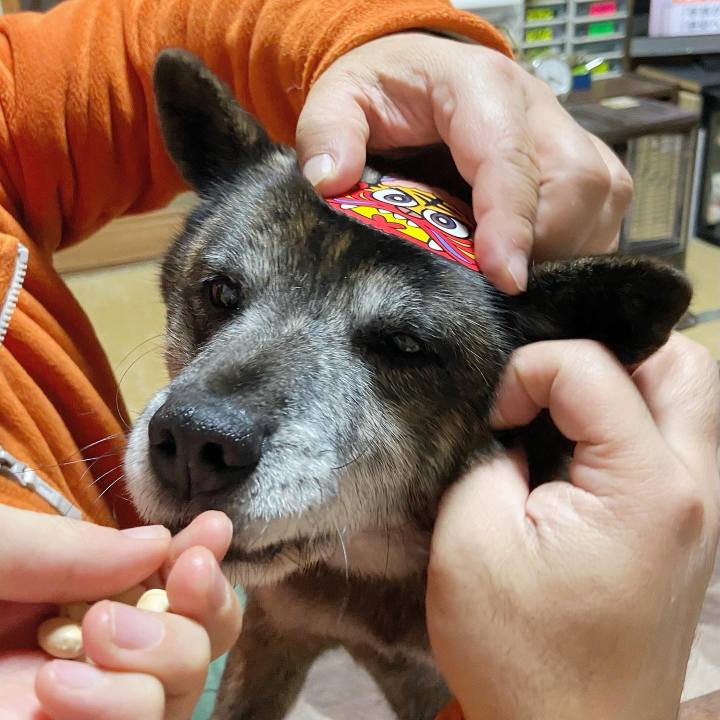 F86dbd79 aa7f 4293 97e1 453006c1ec07 1643881988113