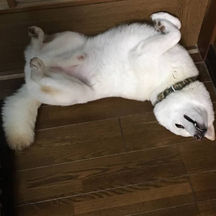 F86dcea3 7867 467a aac7 ba047a00c7cd 1539327370584