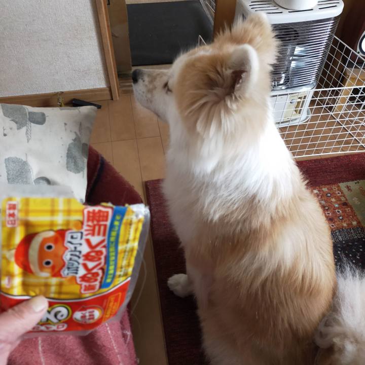 F86dfef6 168e 406f b280 02bfb6d677d2 1643544512665