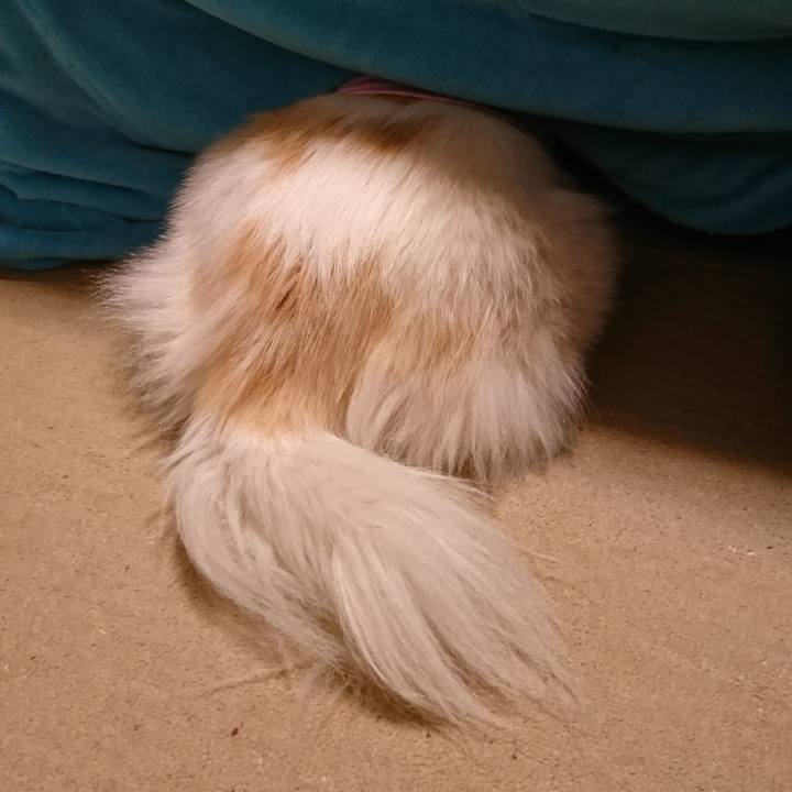 F86e44c8 d01b 47f5 8589 938d0ffccca7 1656120274993