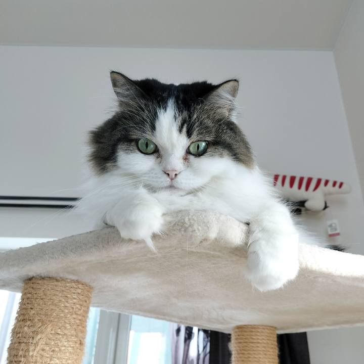 F86e5abd 0d5c 46ba 8cae 92df85e8d27e 1769556125138