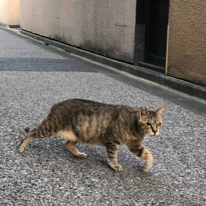 F86e838e dff7 4df8 a140 cd1e30718bb5 1527941706258