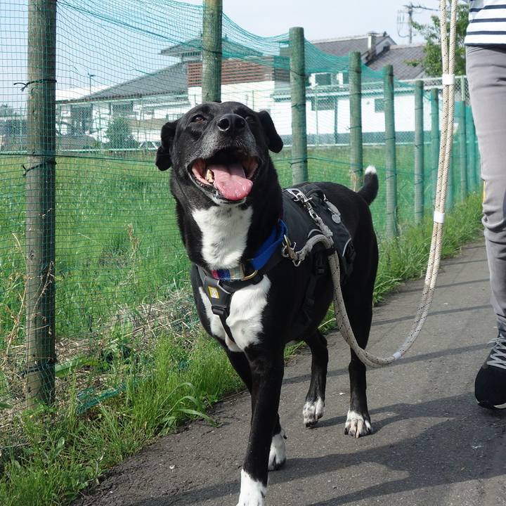 F86e8698 5c20 4e03 858f f79d09745a76 1652834951382