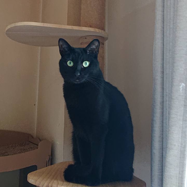 F86f17f5 4707 4ff2 b450 2d10b3da3881 1624237170717