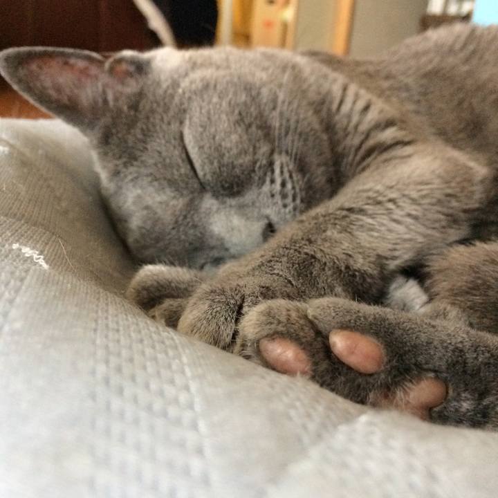 F86f3d09 dfab 4cee a04d b7d4fa4b4e9c 1529623640898