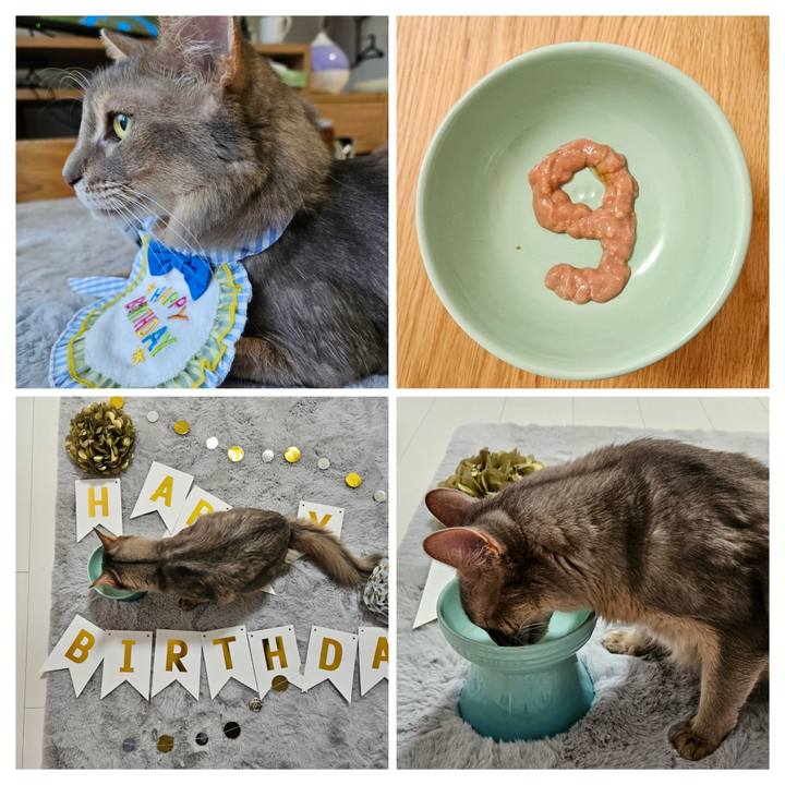 F86f6ea8 1a2e 492d b687 931166ff4d9d 1701838764387