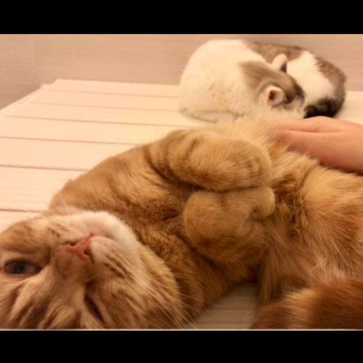 F86f91d6 779e 472a 98cf 6fe50214b96a 1550921312808