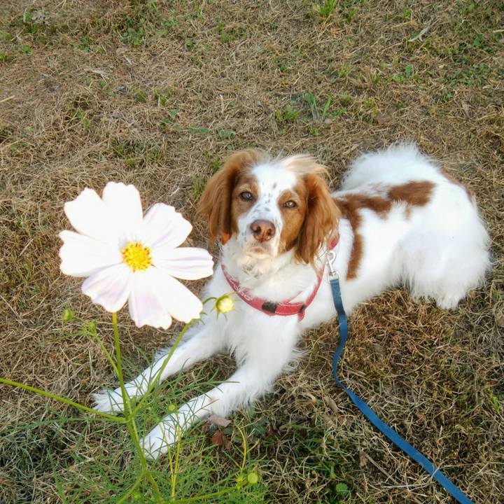 F86f93cd 564b 45e5 835e 87c696e2466b 1539853047750