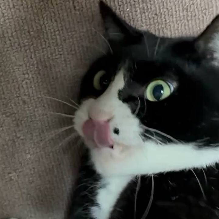 F86fa0f4 1e3a 4ea9 98e9 d6b0a1c73578 1765968066912