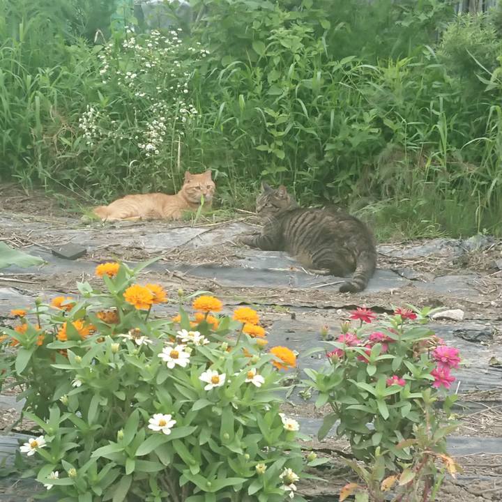 F86fc543 cf71 4275 9939 52f69057efaa 1660965724607