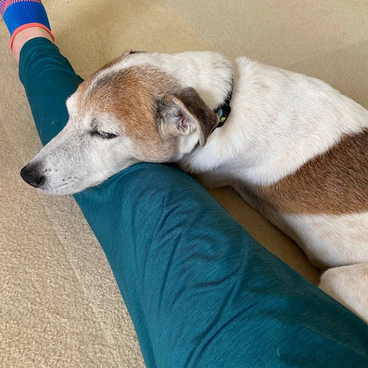 F870295d cafd 4552 b881 04dd46baa30e 1600738665276