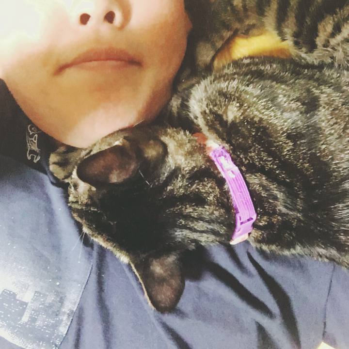 F8702abf ee63 4ac1 a835 384e44a2aada 1570455305038