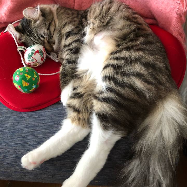 F8703565 f53a 4313 a33a 53f7c461189a 1514170900894