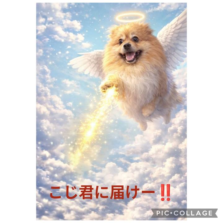 F87045ca b075 4c3a a61f ca6c2d3324f8 1769398120085