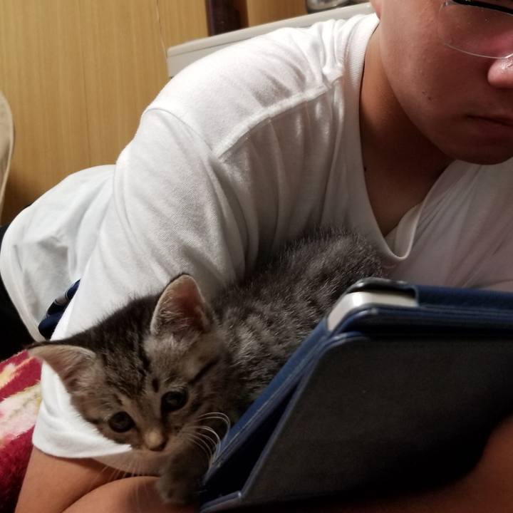 F8706095 ad03 4ffb a6b7 c58eb5262b59 1661352606298