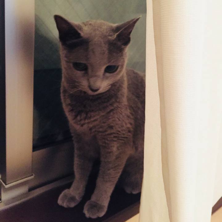 F870628b 6d89 42ea 89b1 aabb417c6743 1535579690299