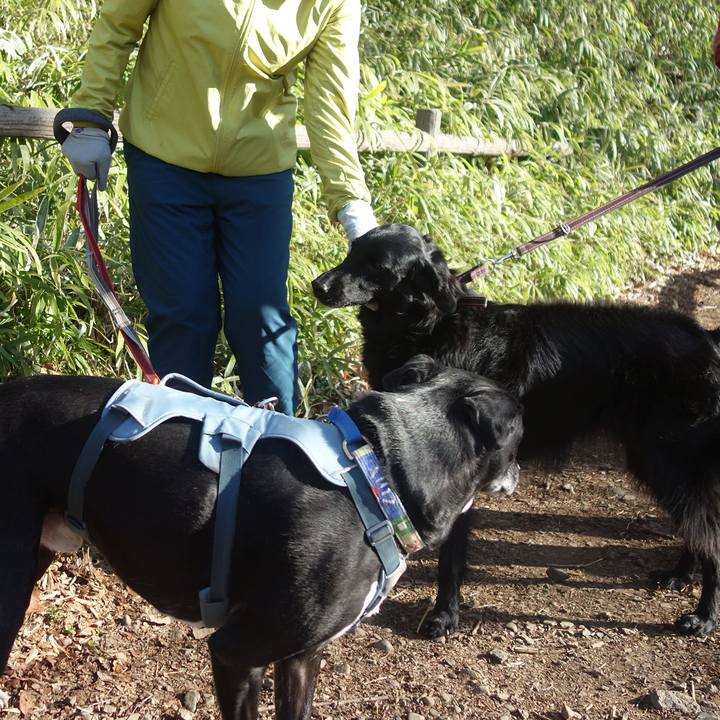 F87096a8 2cfb 4dfb 9100 94e1039d7448 1710894774675