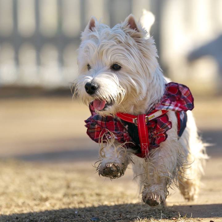 F870debf 09db 4db2 b75d 3b5e8f665175 1515329545028