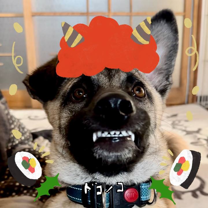 F870dfcd b784 4b34 9992 6f841b0aa77c 1707022548429