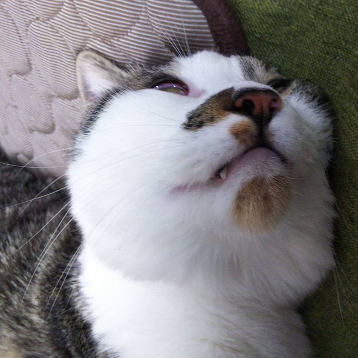 F870e633 f55d 4f49 a8bb baad8d122d00 1625999826383