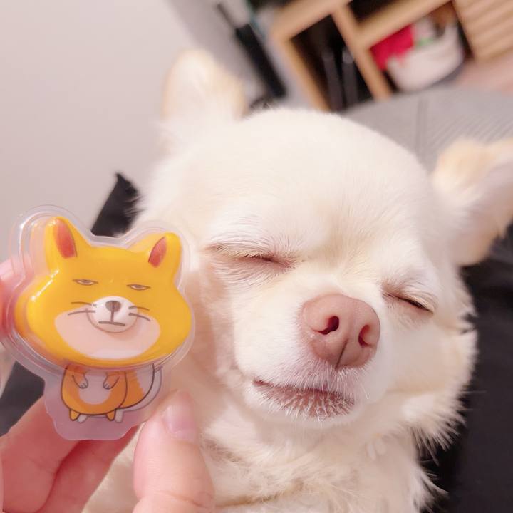 F871291d a3e5 447d a85c 3983cadc39a8 1696244896741