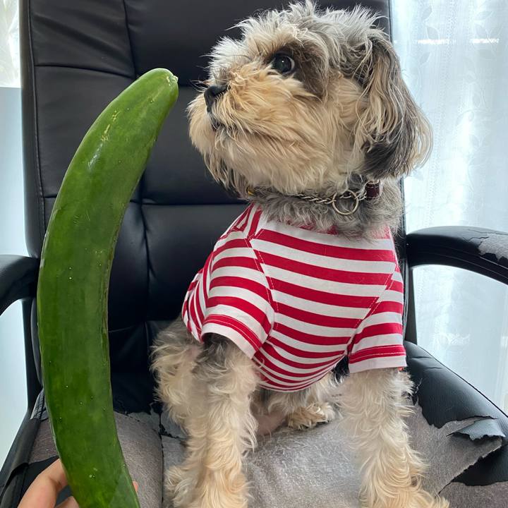 F87129df 4412 4796 bad3 0ddd2dbc2fc9 1658117356653