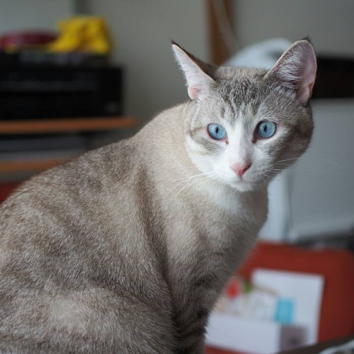 F8713ce2 9d88 401a a64d c328feea04ad 1534218852334