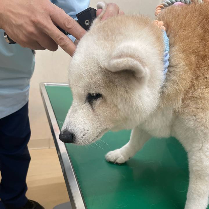 F8717185 96dc 4bd8 8a86 b6b8e5c776ae 1726231848141