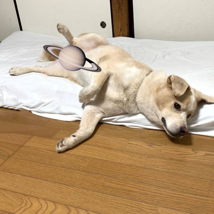 F871c95c 35f4 401a bf56 6704901d85db 1599145919181