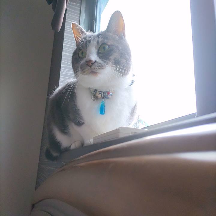 F87232e2 d48a 4e49 b909 5d651ee1ce02 1720870301185