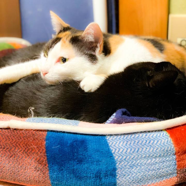 F87245ac fdee 4b61 a195 90810e6ebd36 1562722529828