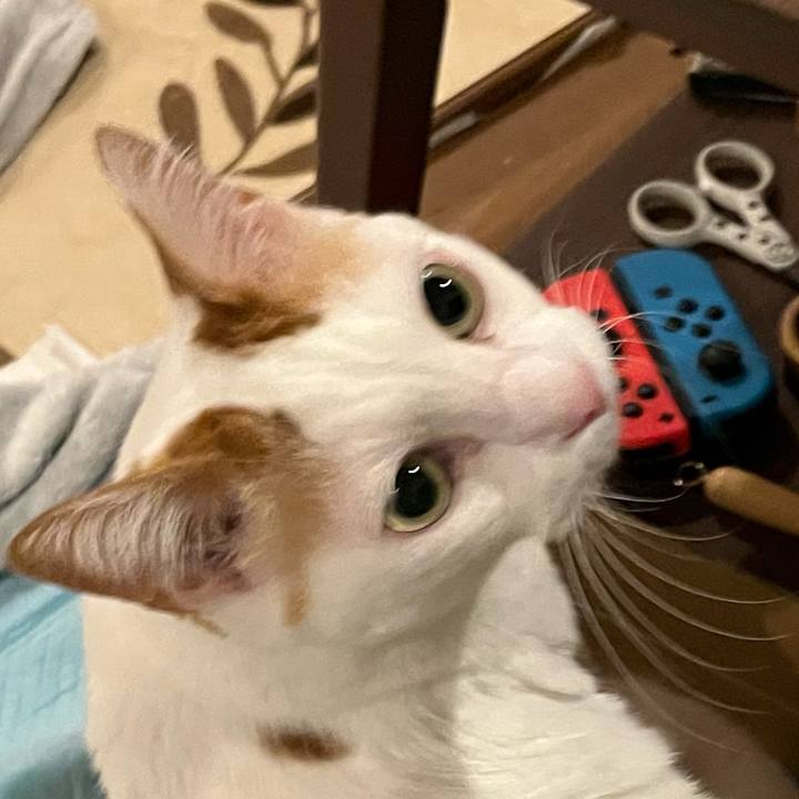 F87268b3 3ee4 4e11 bead ed282b59c5d0 1768403199720