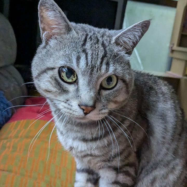 F8727300 8233 47a4 9926 39d28a95a3dc 1718875429118