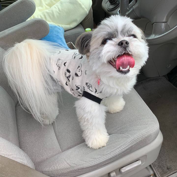 F872961f d2db 46d7 a20f 0044928aa23a 1588813076737