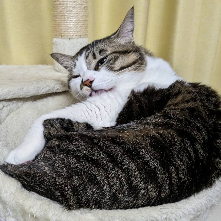 F872a49b e355 4a7e 8821 aabbcf3f850f 1707996682329