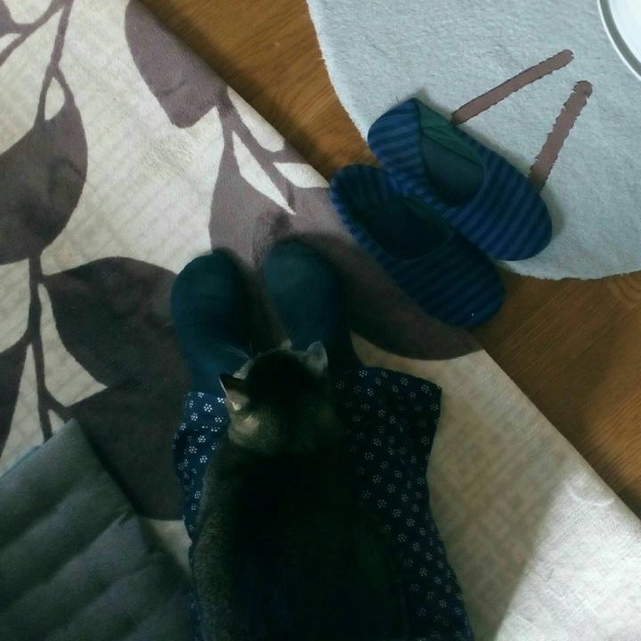 F872c5e3 2c3f 4408 a26a 6d73f09e4b5d 1547010775307