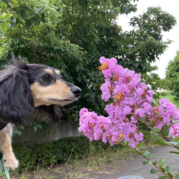 F8732a1d 2260 4407 81e3 2852ca112825 1754025519026