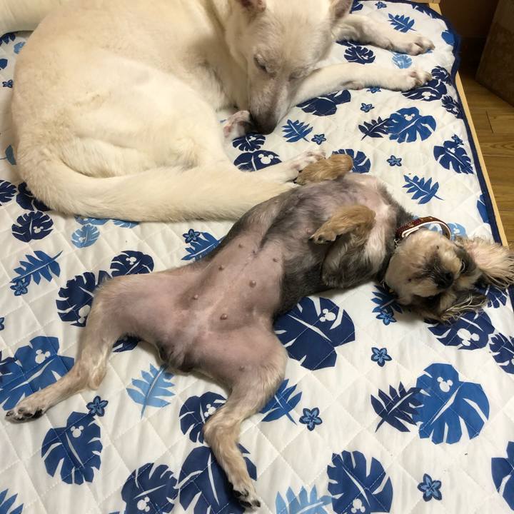 F87350dc f7d3 418d 95ed 3d09d7588268 1565685591756