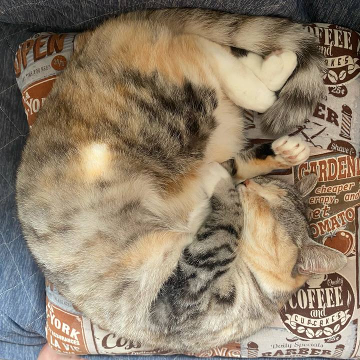 F8735e33 cd7f 4aa5 98d4 7c9c13219a20 1648698610068