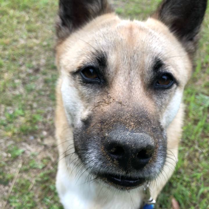 F8737c0e 3ceb 41c7 950e 949f678f7f78 1523615931152