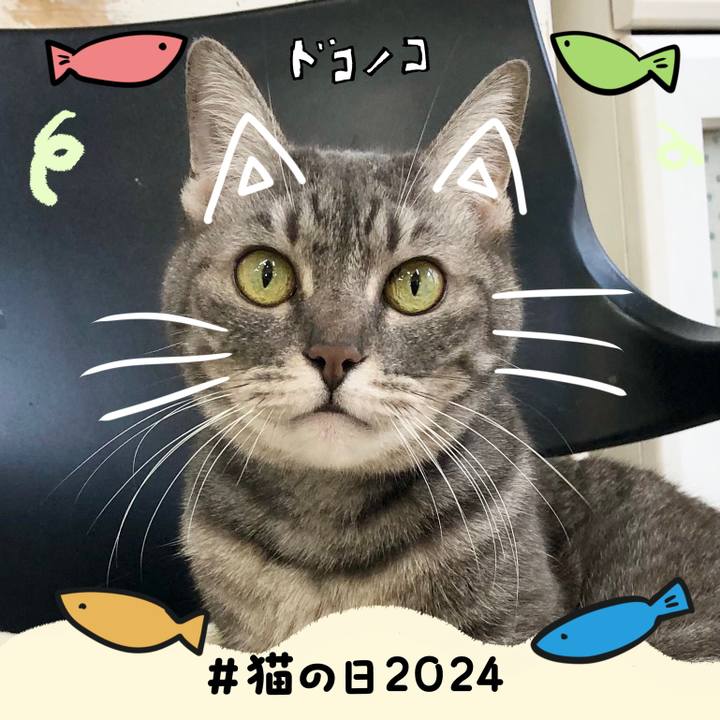 F873932c aea7 4b02 906f d0bdfc314569 1708583152857