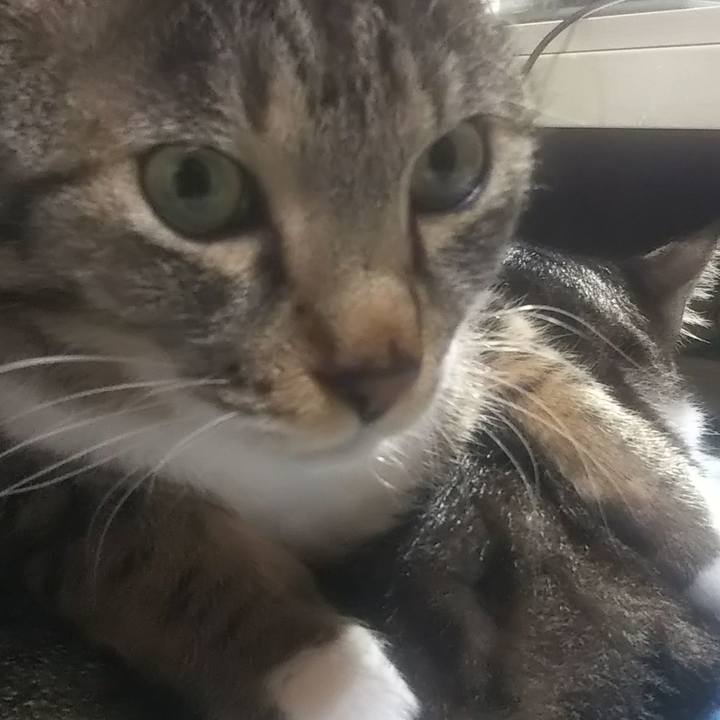 F87395de ac4c 4b60 8d59 6827c4844ba5 1637659938433