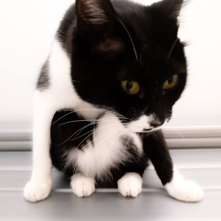 F873bbe0 901d 49bf 89ca a2fc4be5c3ac 1553446727050