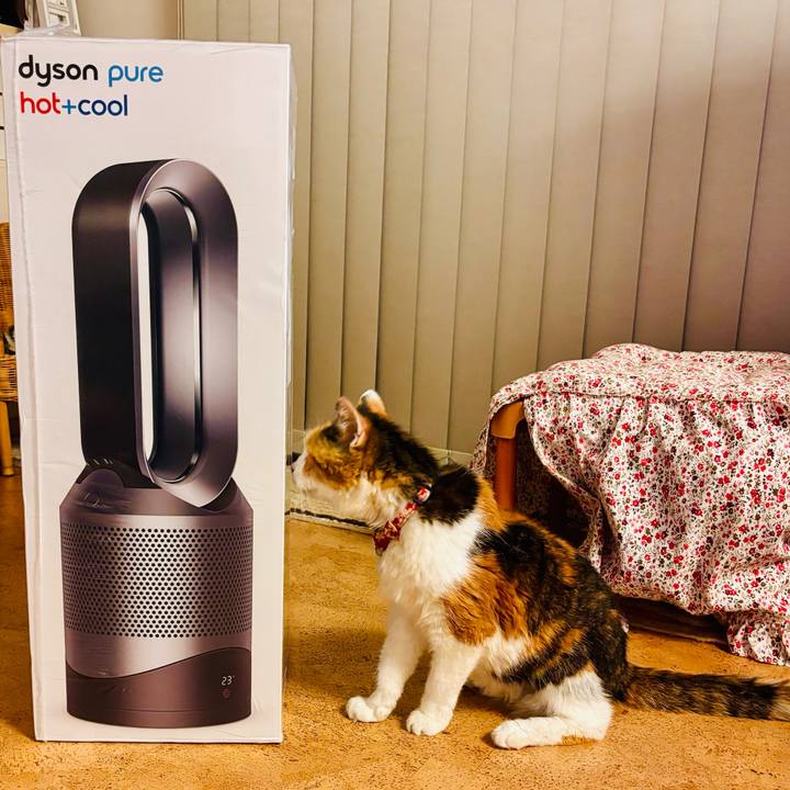 F873bc7b 5bcf 4640 b39a 6c56c36e621d 1729164056078